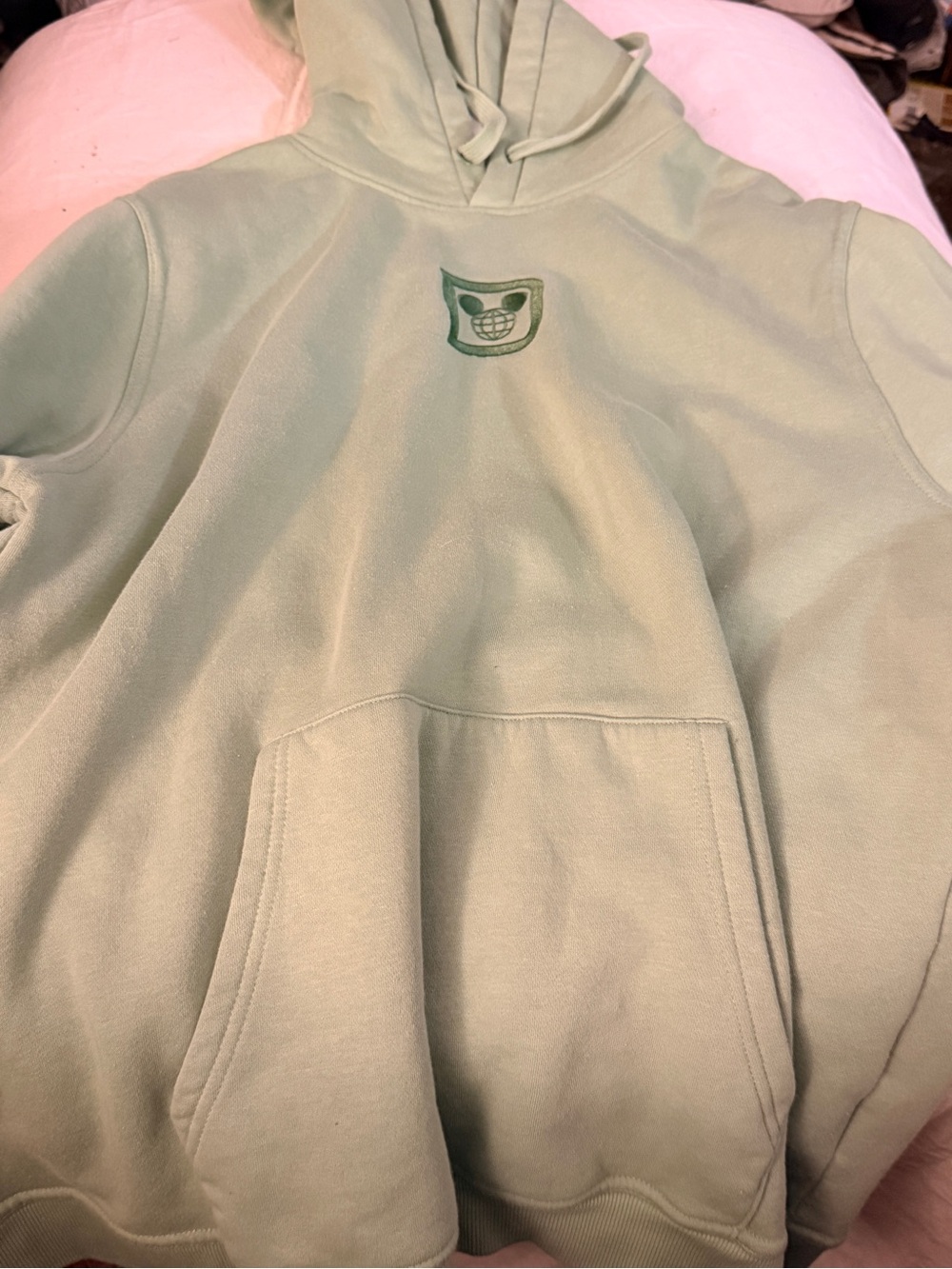 Disney Sage Green Pullover Hoodie